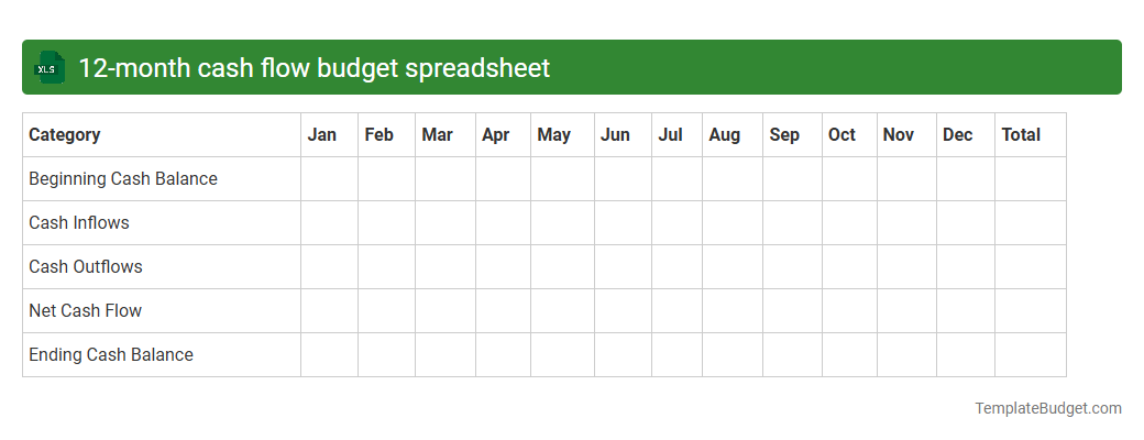 12-month cash flow budget spreadsheet