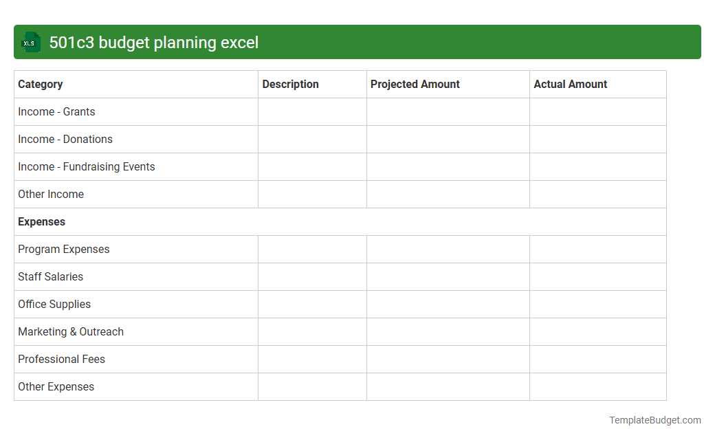 501c3 budget planning excel