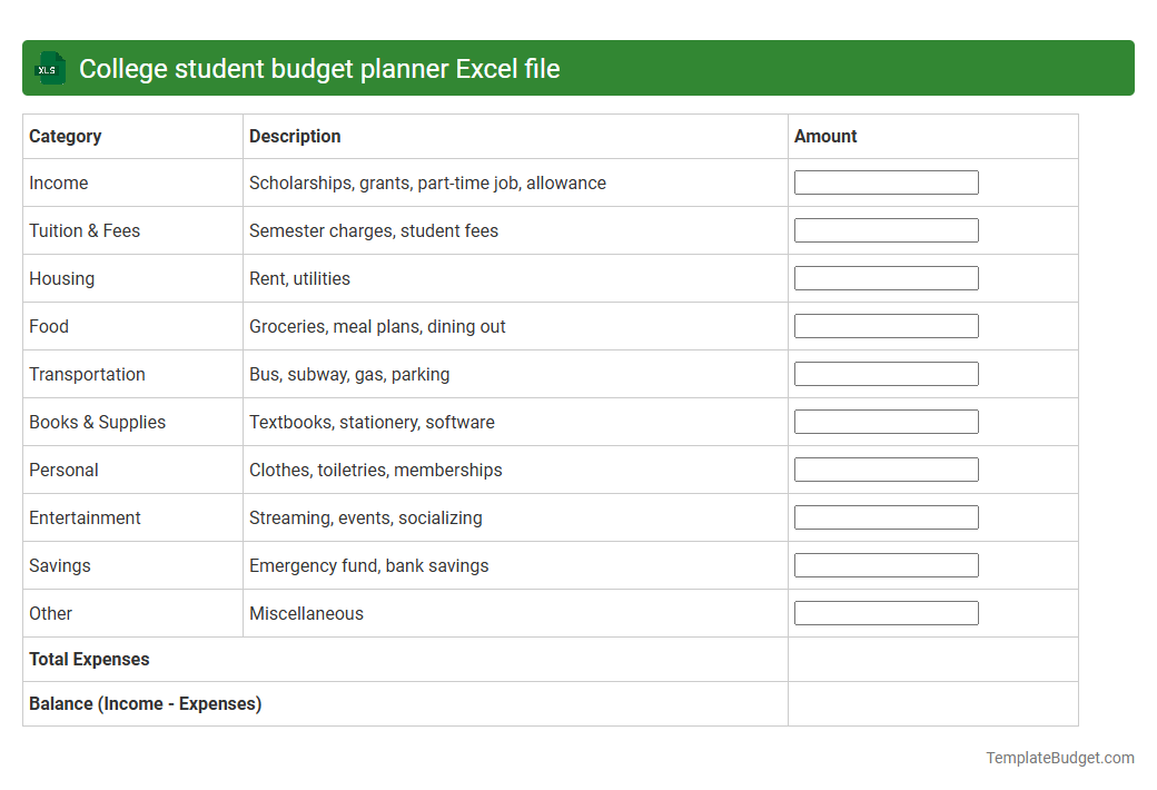College student budget planner Excel file