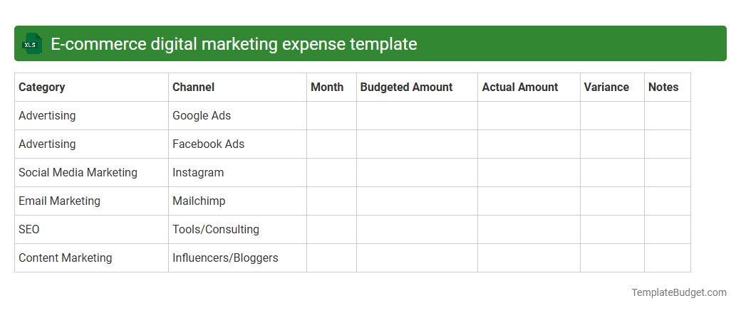 E-commerce digital marketing expense template