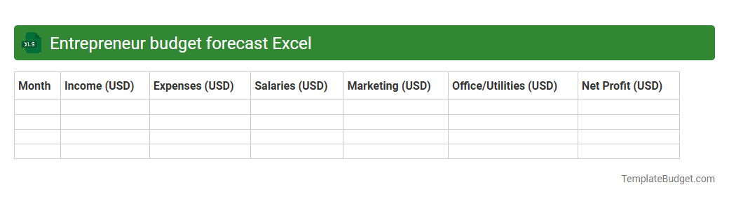 Entrepreneur budget forecast Excel