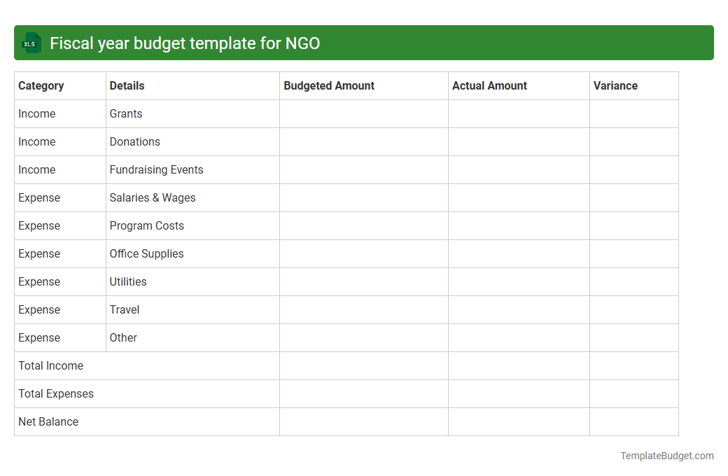 Fiscal year budget template for NGO