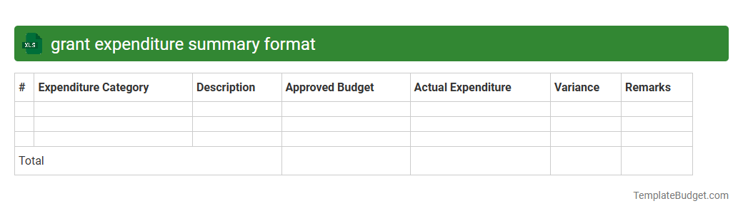 grant expenditure summary format