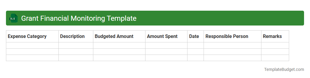 Grant Financial Monitoring Template