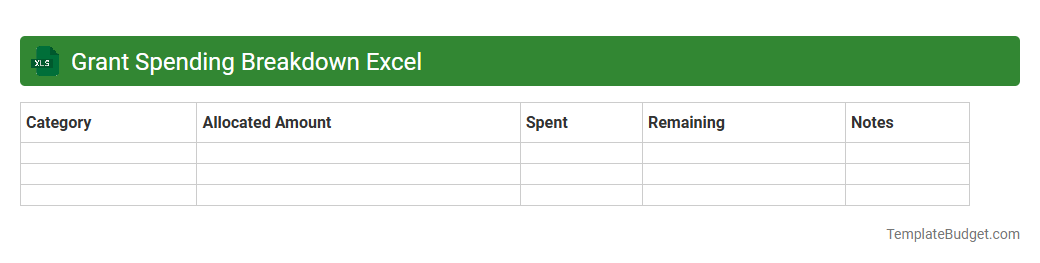 Grant Spending Breakdown Excel