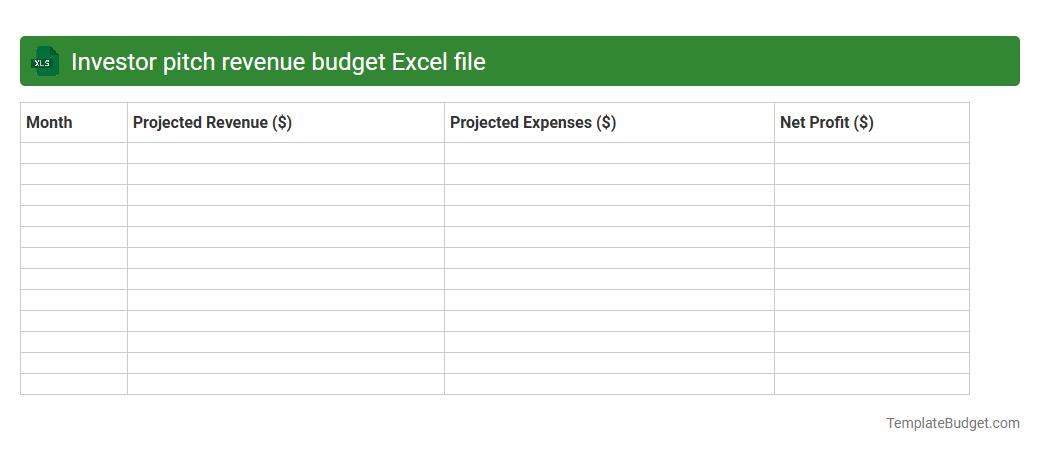 Investor pitch revenue budget Excel file