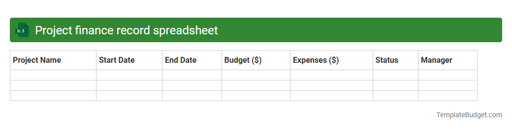 Project finance record spreadsheet