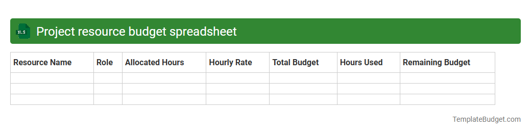 Project resource budget spreadsheet