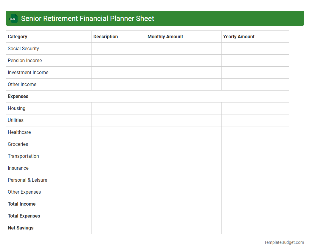 Senior Retirement Financial Planner Sheet