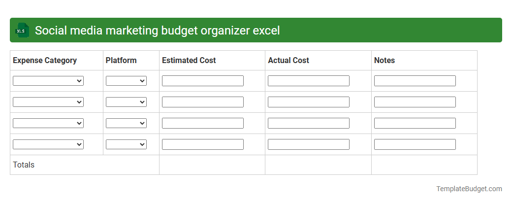 Social media marketing budget organizer excel