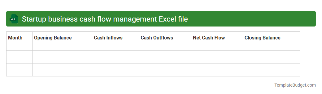 Startup business cash flow management Excel file