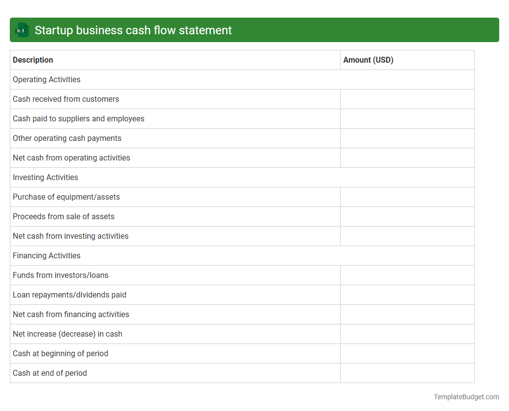 Startup business cash flow statement