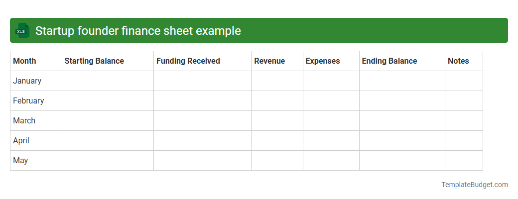 Startup founder finance sheet example
