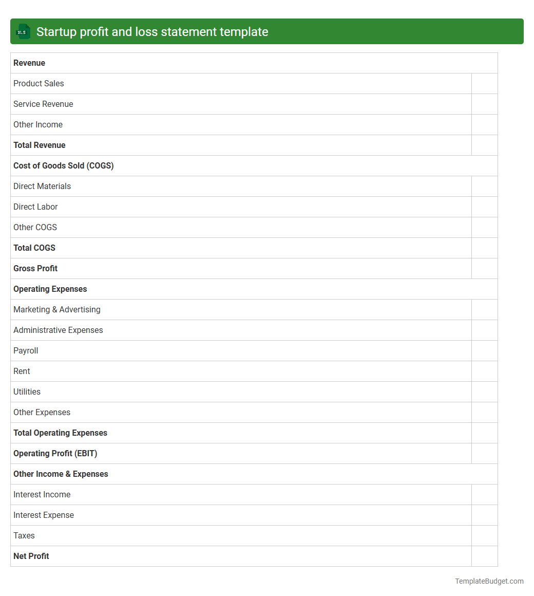 Startup profit and loss statement template