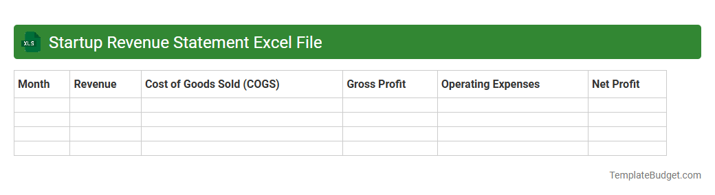 Startup Revenue Statement Excel File