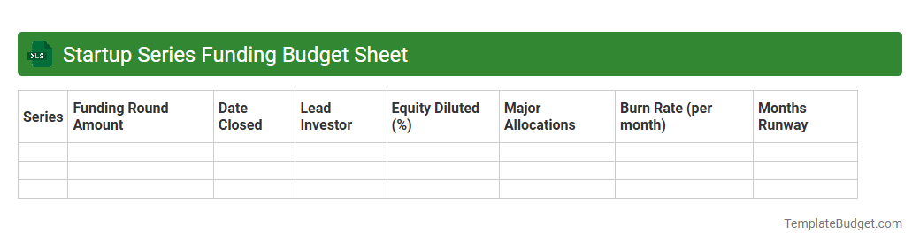 Startup Series Funding Budget Sheet