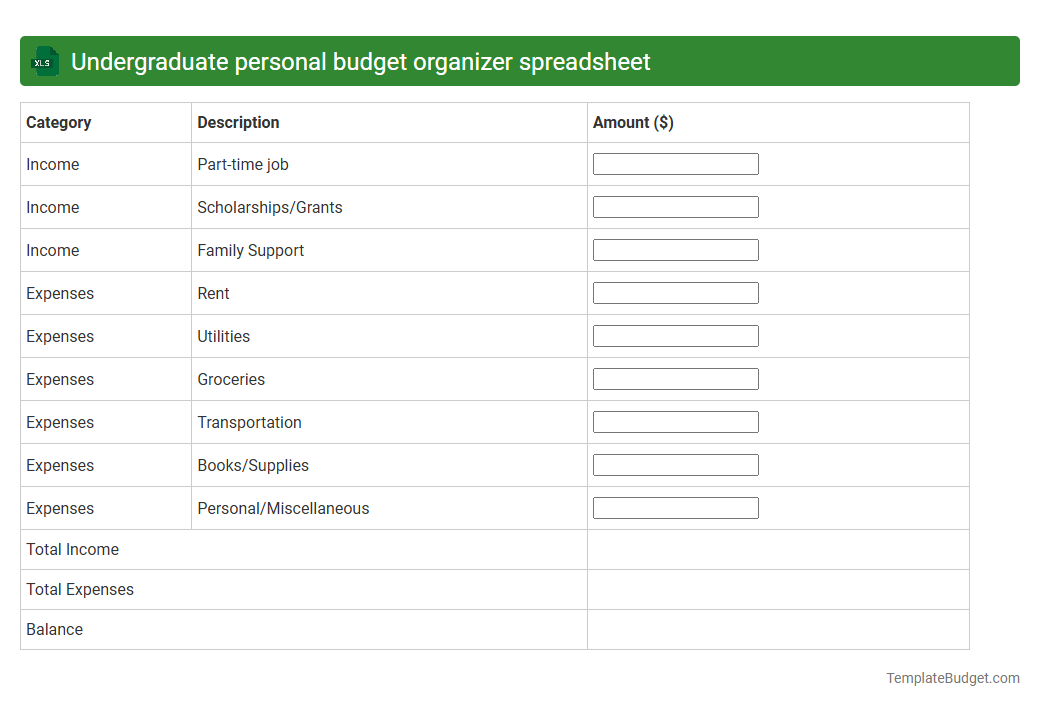 Undergraduate personal budget organizer spreadsheet