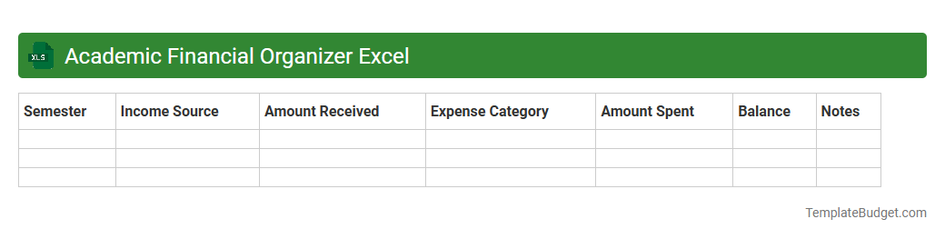 Academic Financial Organizer Excel