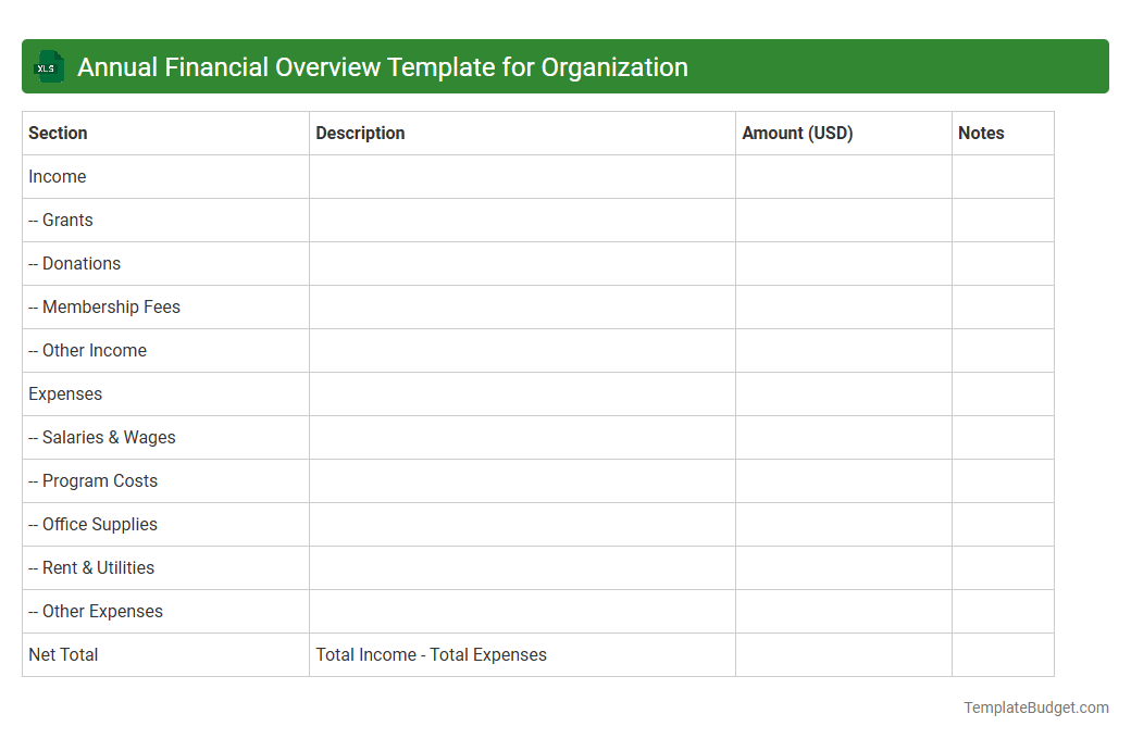 Annual Financial Overview Template for Organization