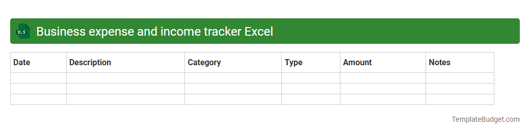 Business expense and income tracker Excel