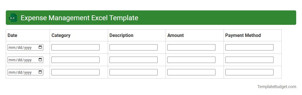 Expense Management Excel Template
