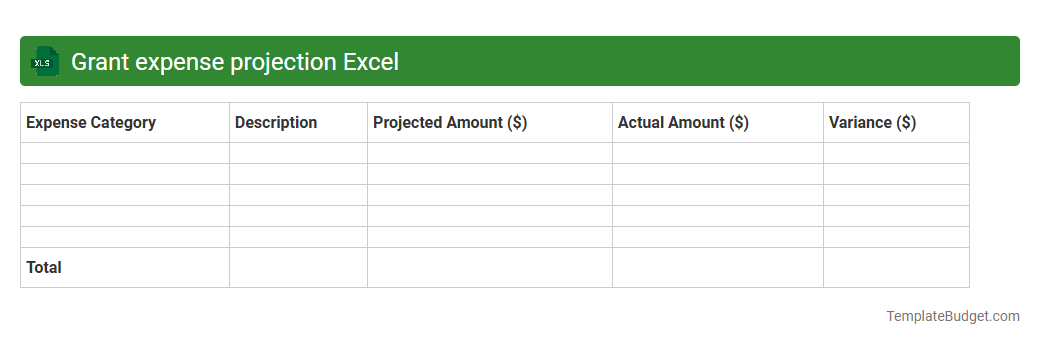 Grant expense projection Excel