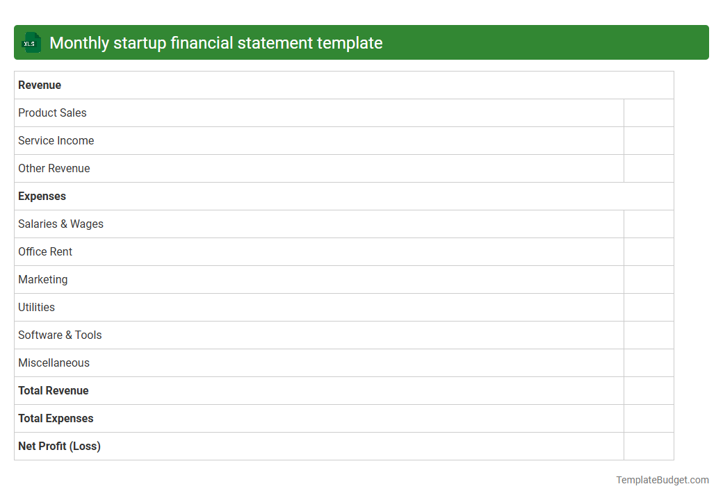Monthly startup financial statement template