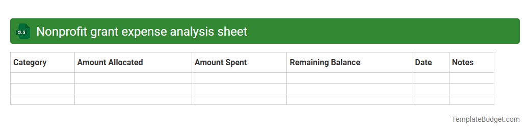 Nonprofit grant expense analysis sheet