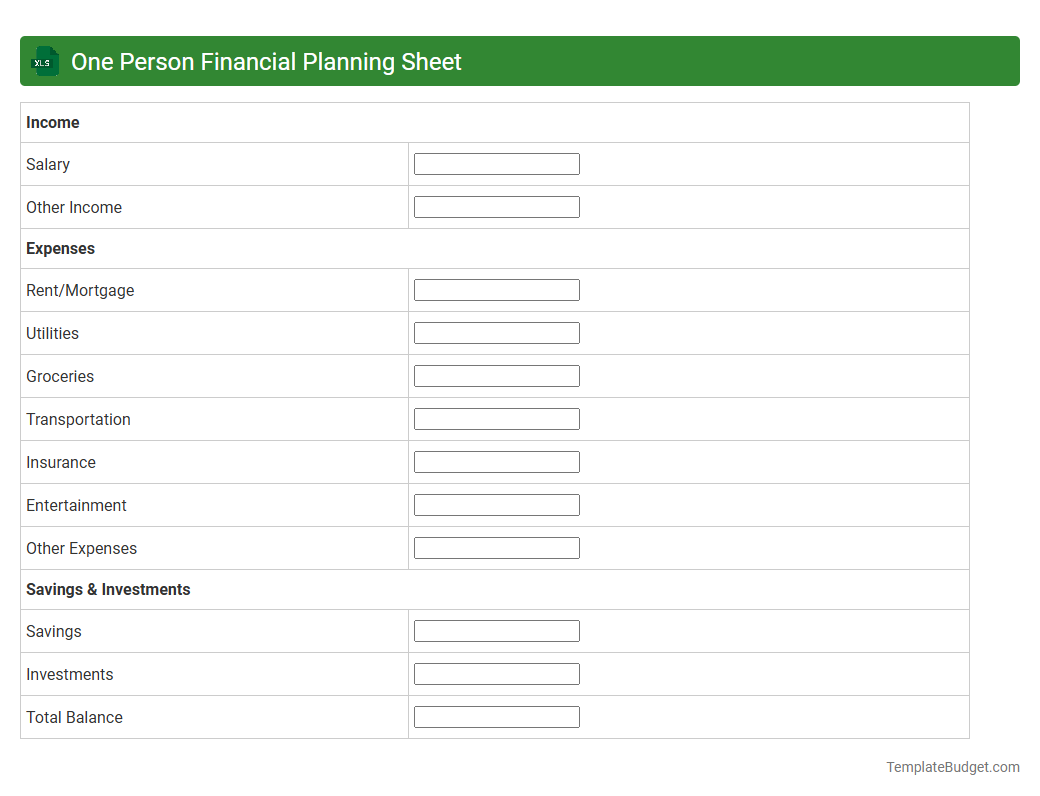 One Person Financial Planning Sheet