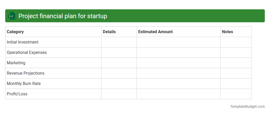 Project financial plan for startup
