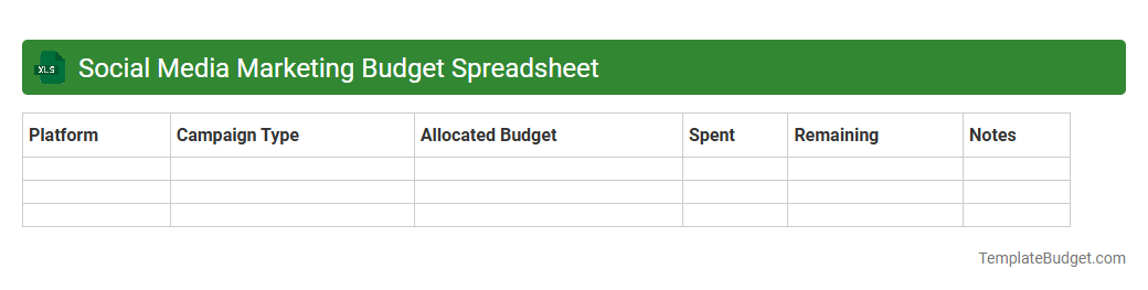 Social Media Marketing Budget Spreadsheet