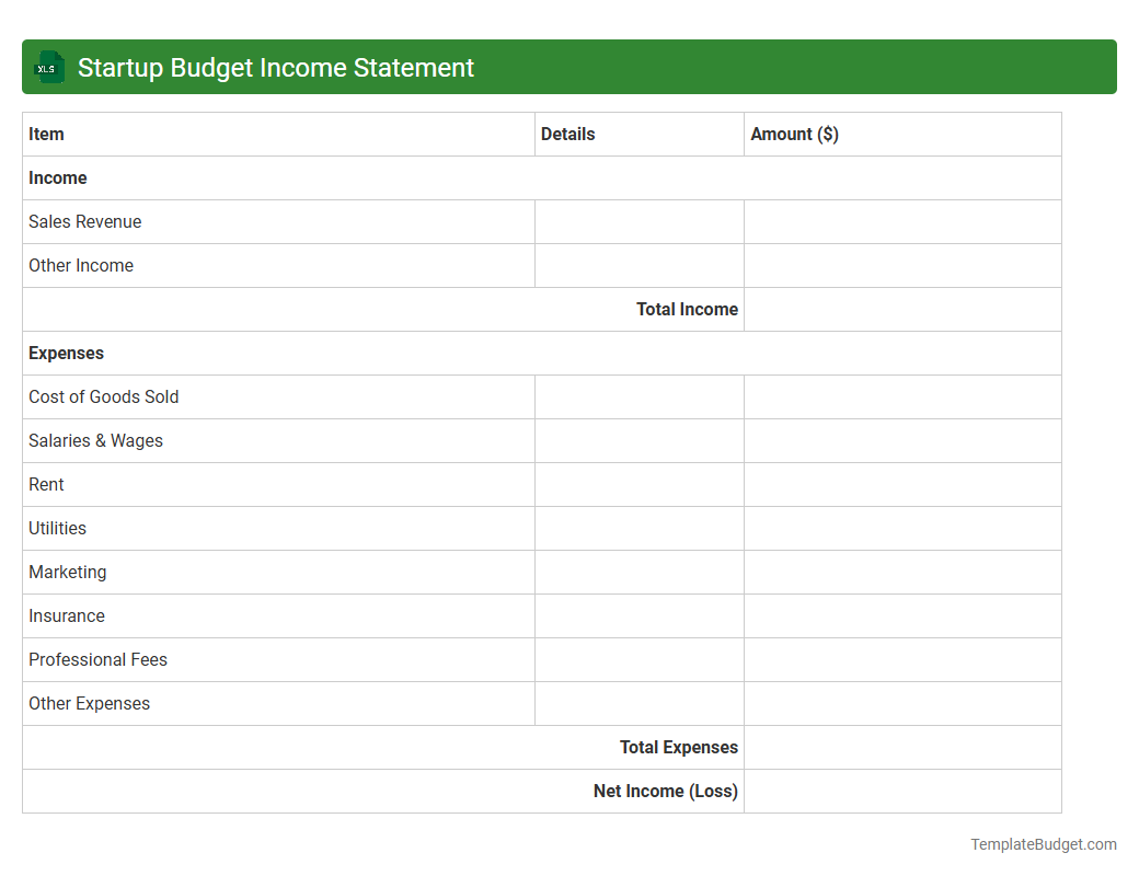 Startup Budget Income Statement
