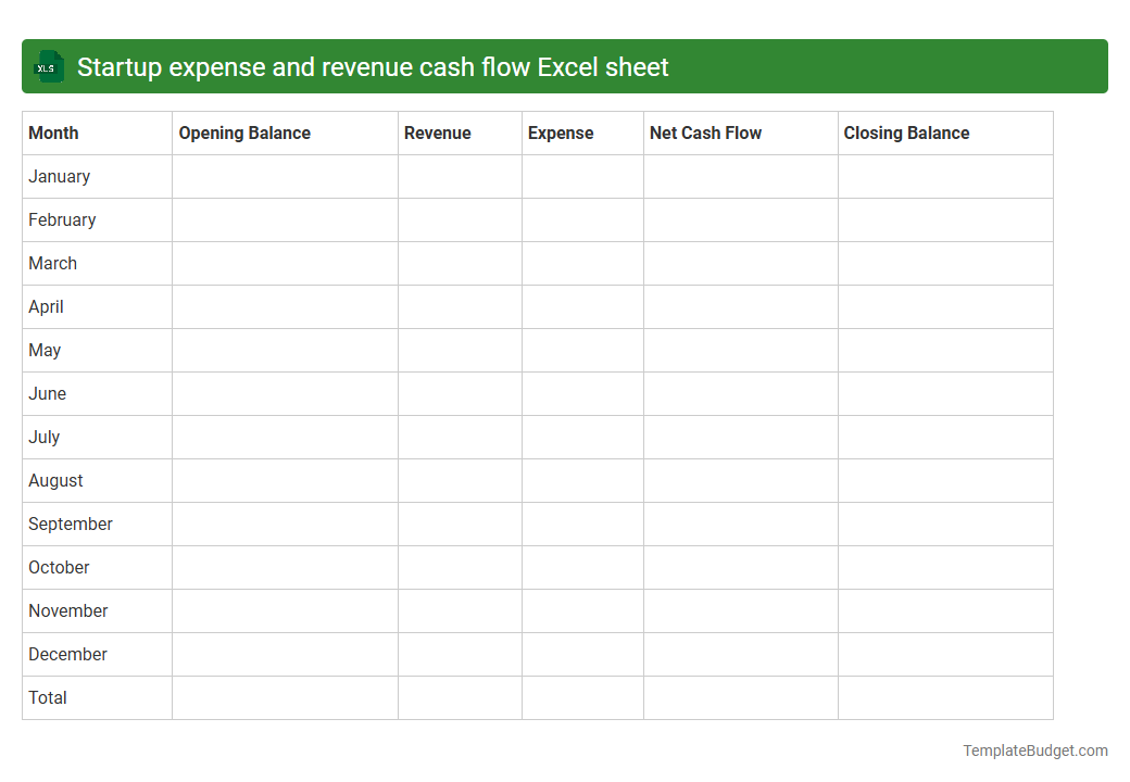 Startup expense and revenue cash flow Excel sheet