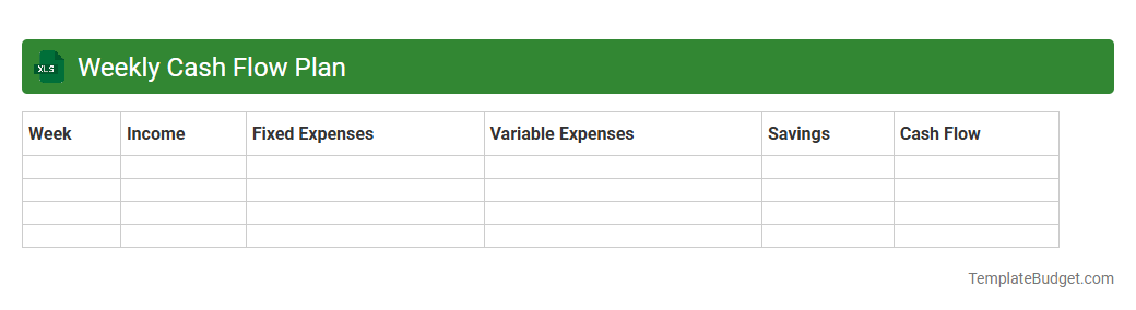 Weekly Cash Flow Plan