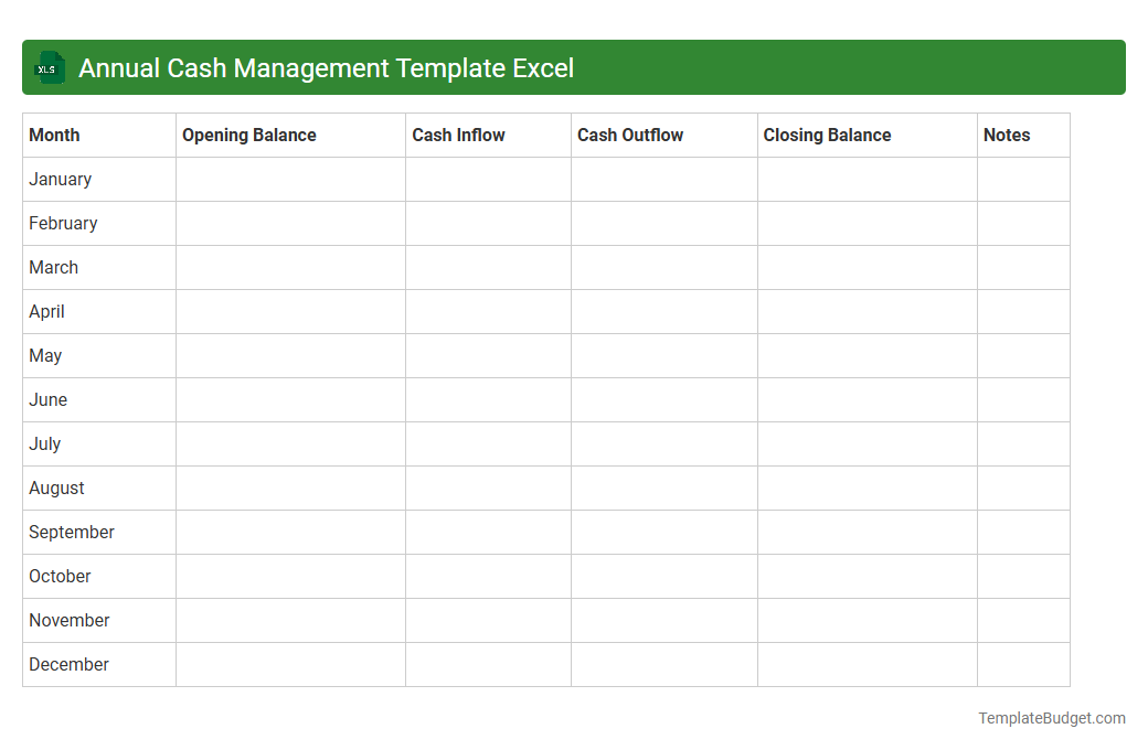 Annual Cash Management Template Excel