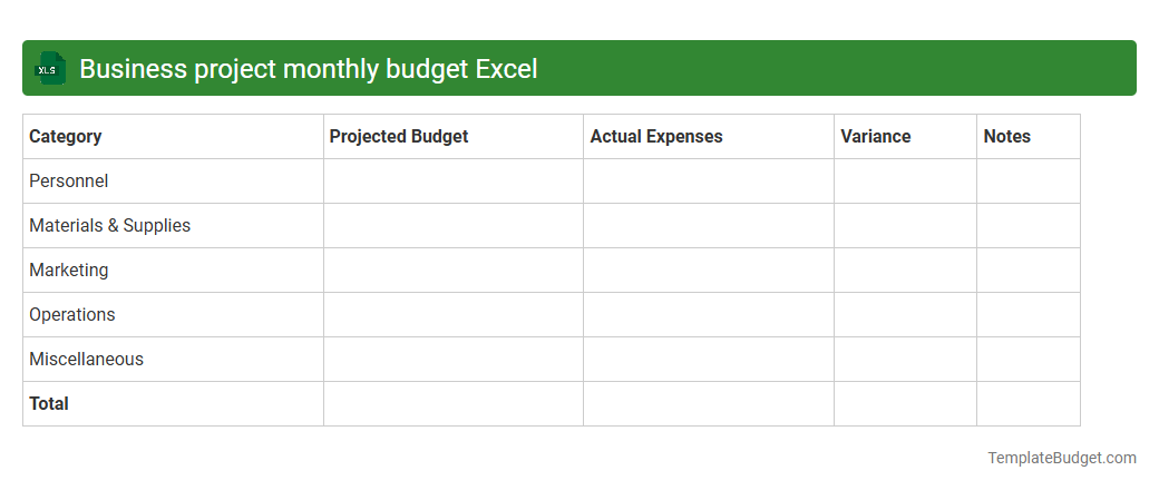 Business project monthly budget Excel