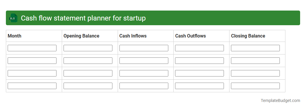 Cash flow statement planner for startup