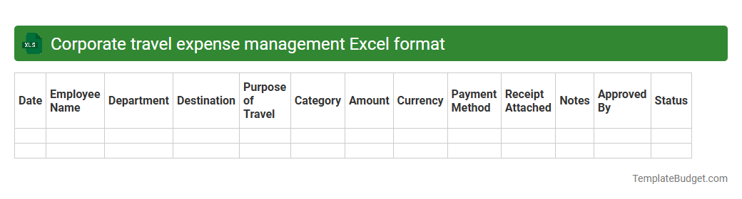 Corporate travel expense management Excel format