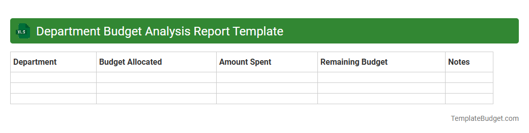 Department Budget Analysis Report Template