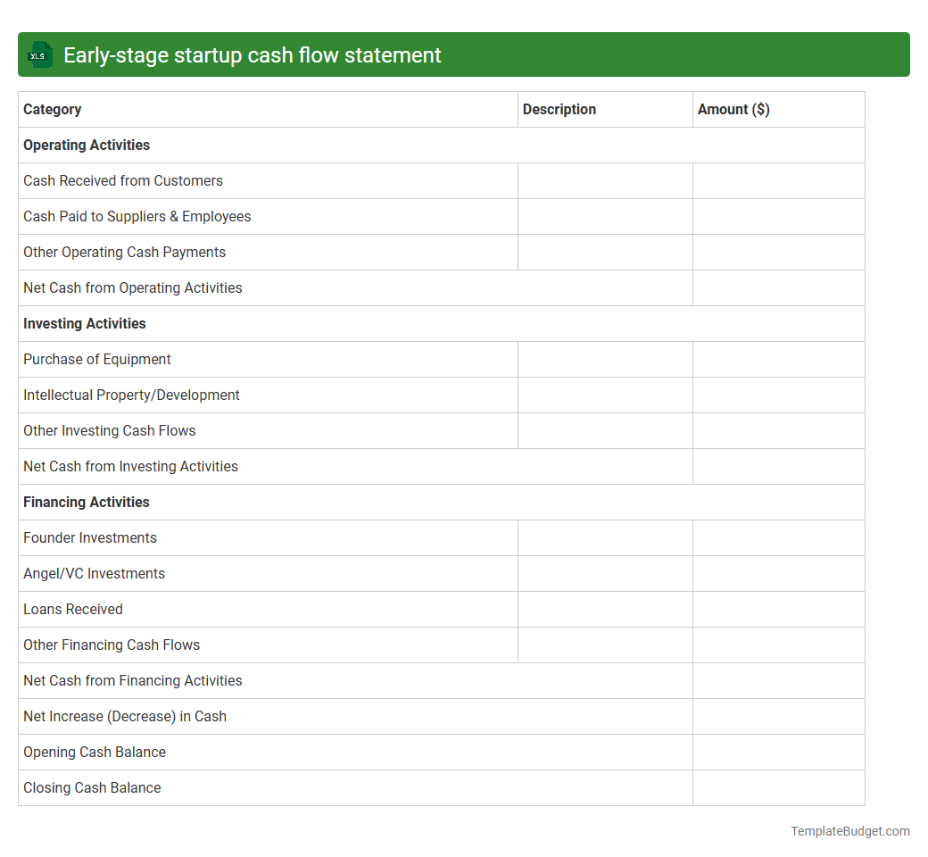 Early-stage startup cash flow statement