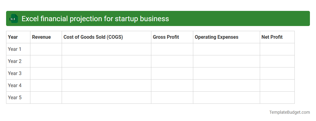 Excel financial projection for startup business