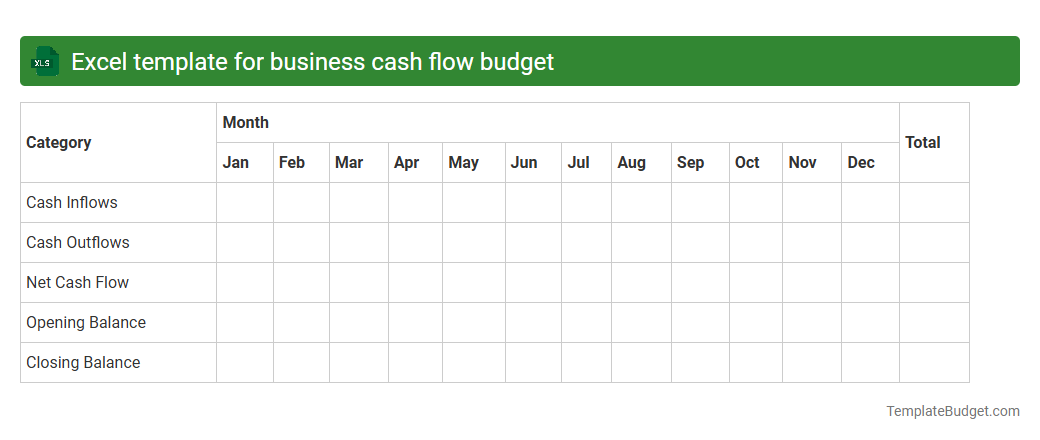 Excel template for business cash flow budget