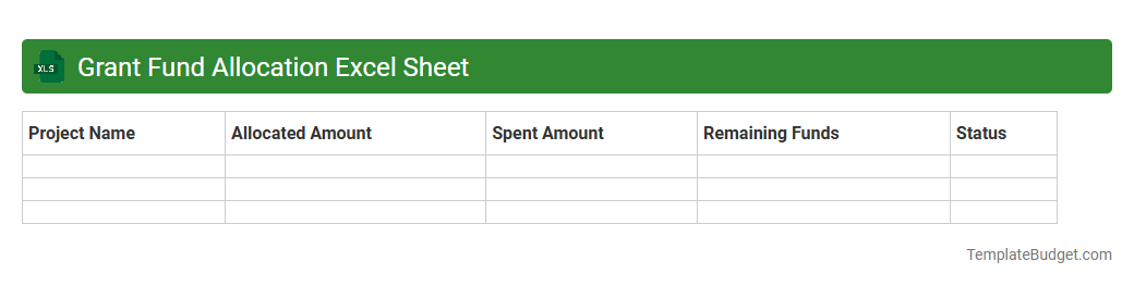 Grant Fund Allocation Excel Sheet