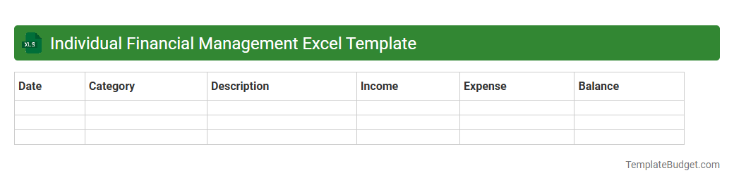 Individual Financial Management Excel Template