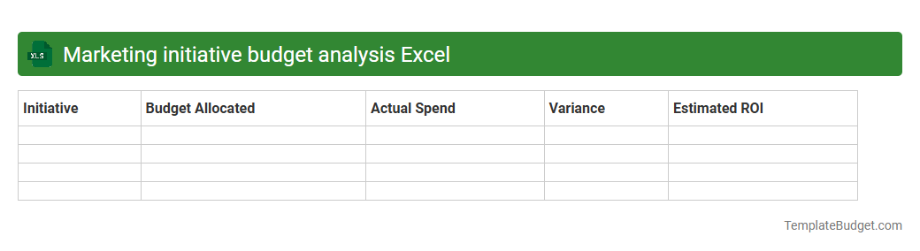 Marketing initiative budget analysis Excel