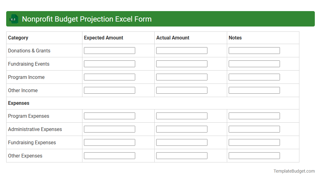 Nonprofit Budget Projection Excel Form