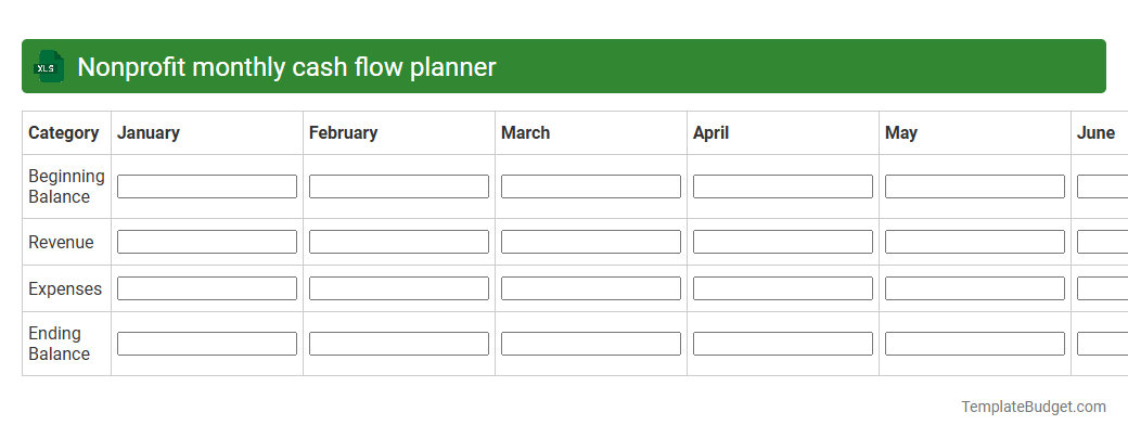 Nonprofit monthly cash flow planner