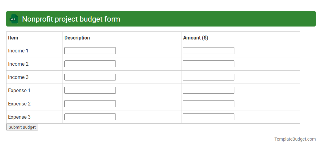Nonprofit project budget form