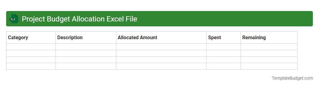 Project Budget Allocation Excel File