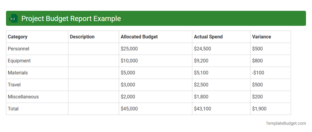 Project Budget Report Example